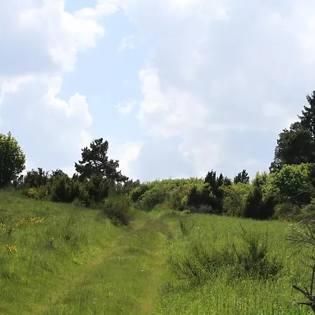 公寓 Birkenhof Volkesfeld