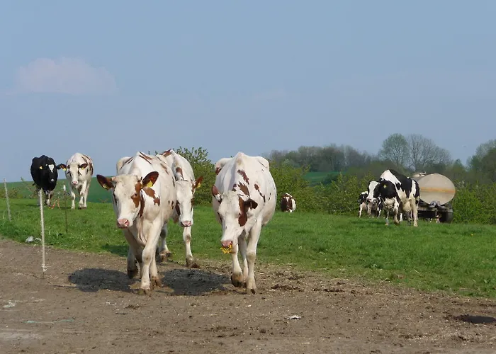 アパート Birkenhof *