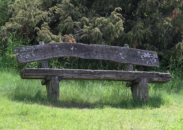 アパート Birkenhof